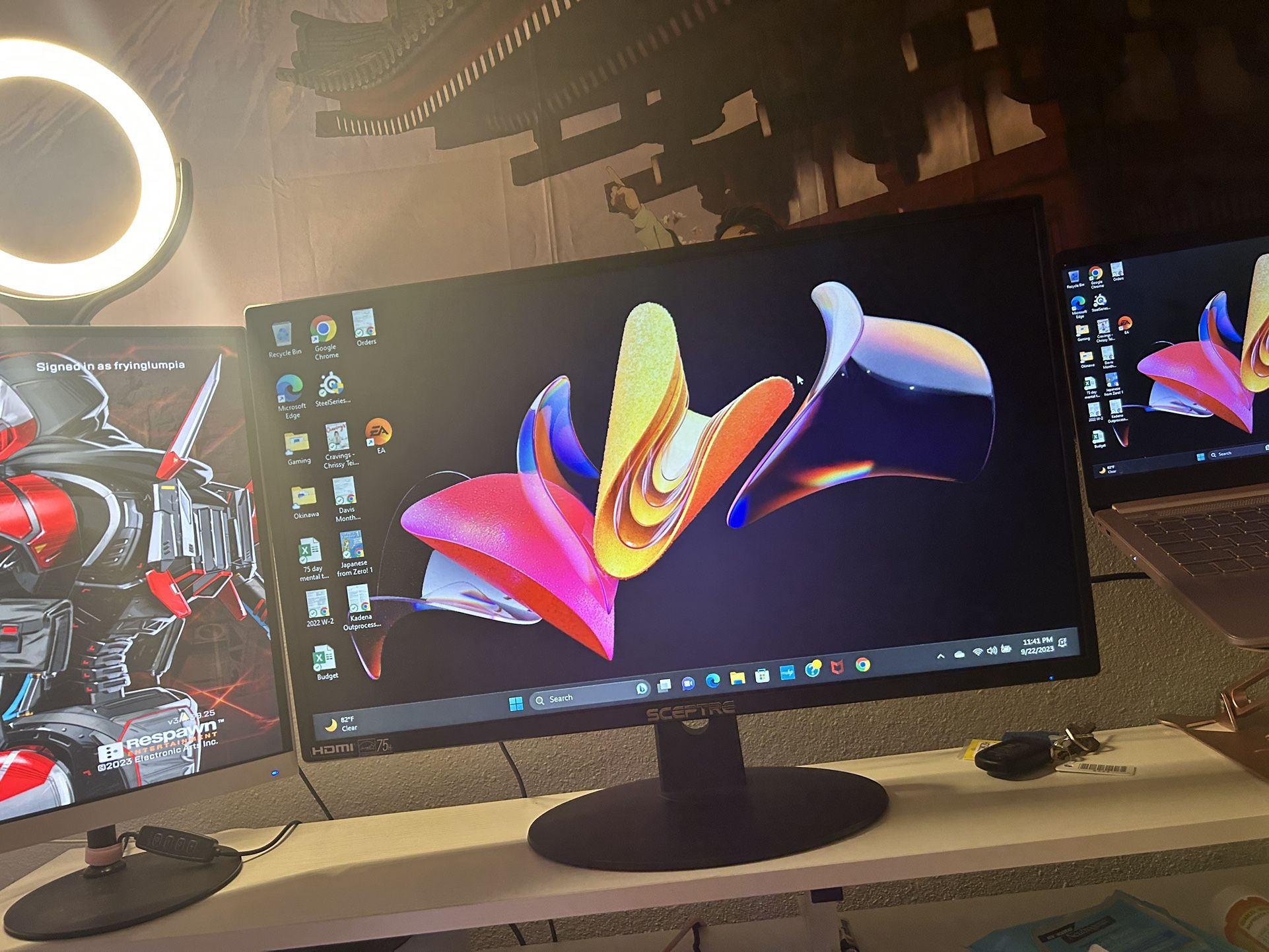 Sceptre Monitor
