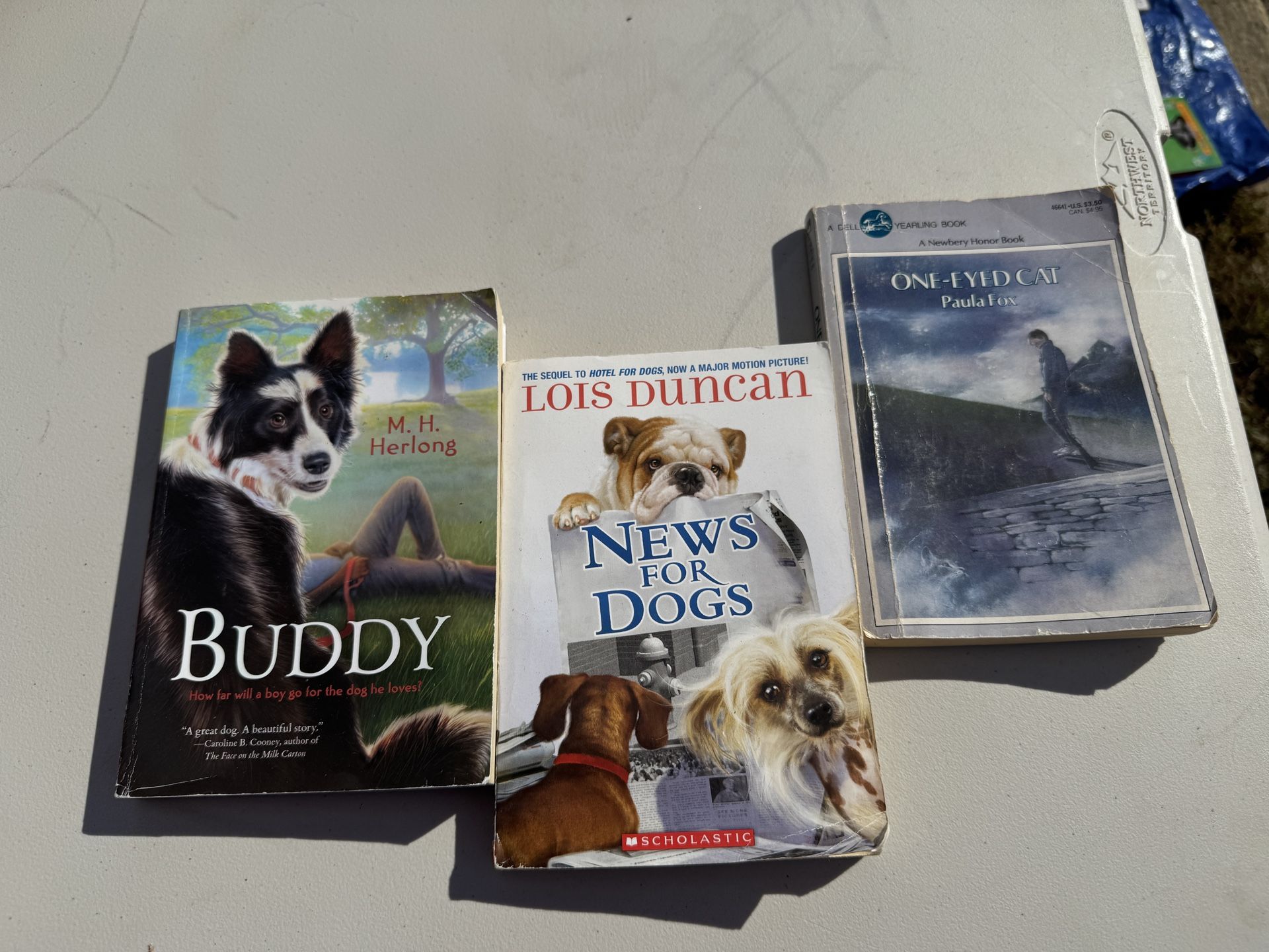 3 Kids Paperback Books- Buddy, News For Dogs & 1 Eyed Cat