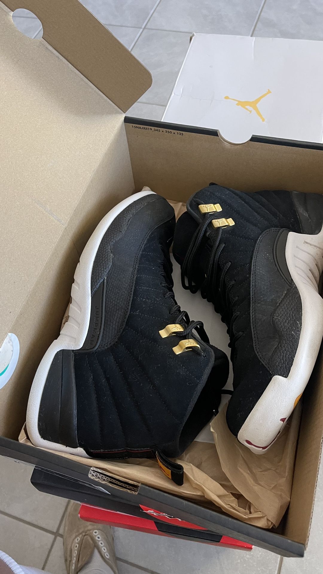 Jordan 12s