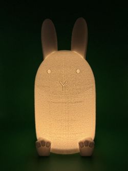 Rabbit Light (Homemade)