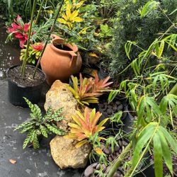 Plants/Rocks/Pots