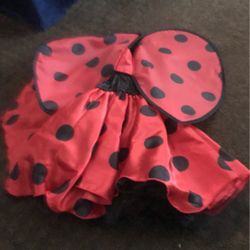 Ladybug costume