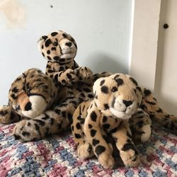 Cheetah Plushies 