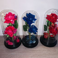 Roses With Led In Dome