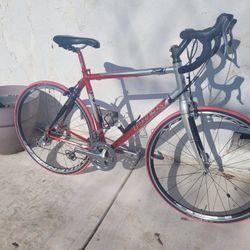 Trek Road Bike 