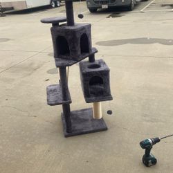 Cat House