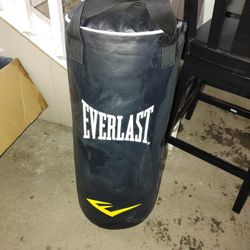 Everlast Punching bag