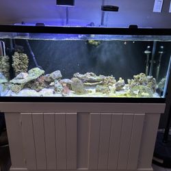 75 Gallon Aquarium 