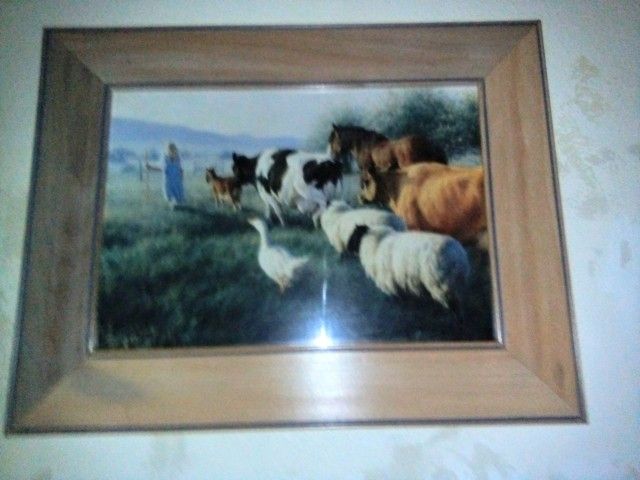 Autographed Print Managerie Of Friends. In Hardwood Frame