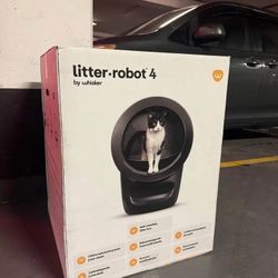 Iitter 