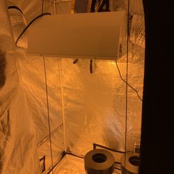 4’x4’x8’ Grow Tent 