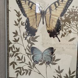 Beautiful Butterfly Framed Artwork With Mirror Behind It