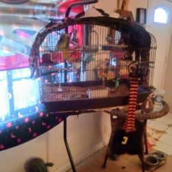 BIRD CAGE WITH STAND