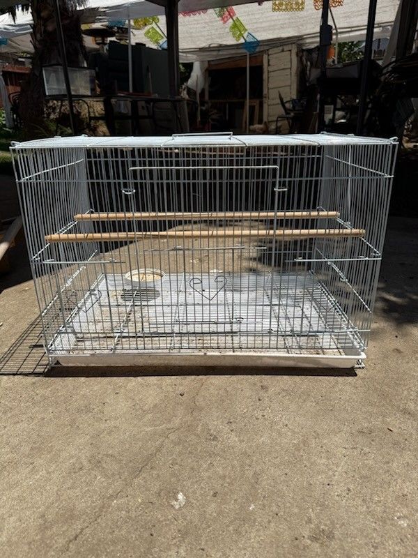 Bird Cage
