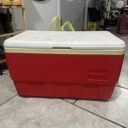 Igloo Cooler