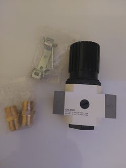 Heavy duty air pressure regulator with fittings (32)