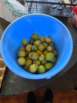 White guava fruits