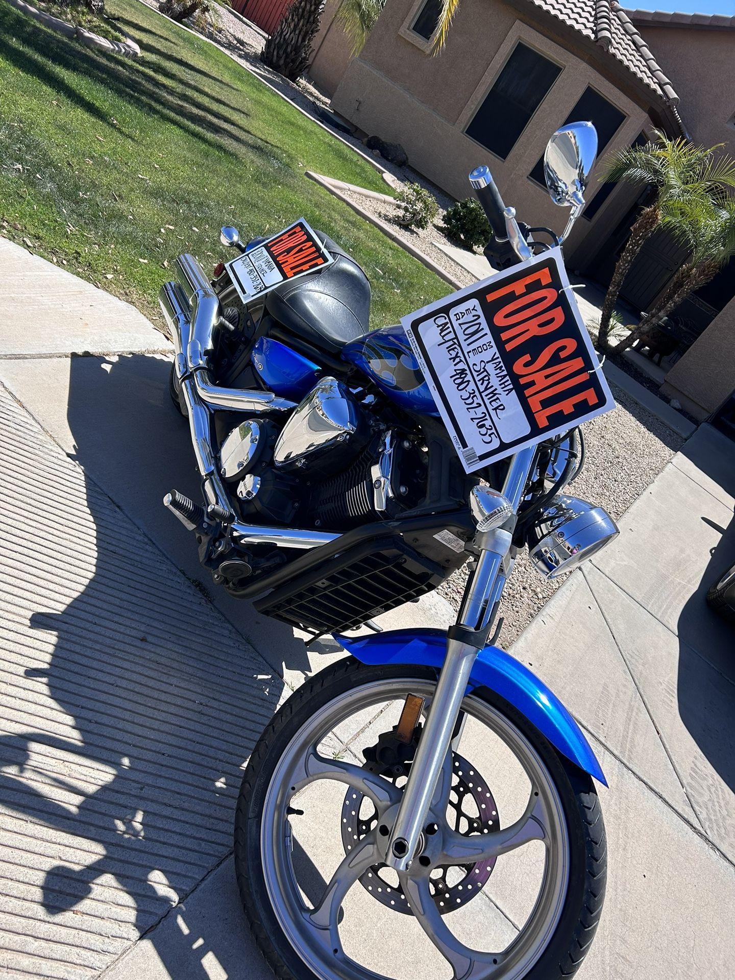 xvs1300 for sale