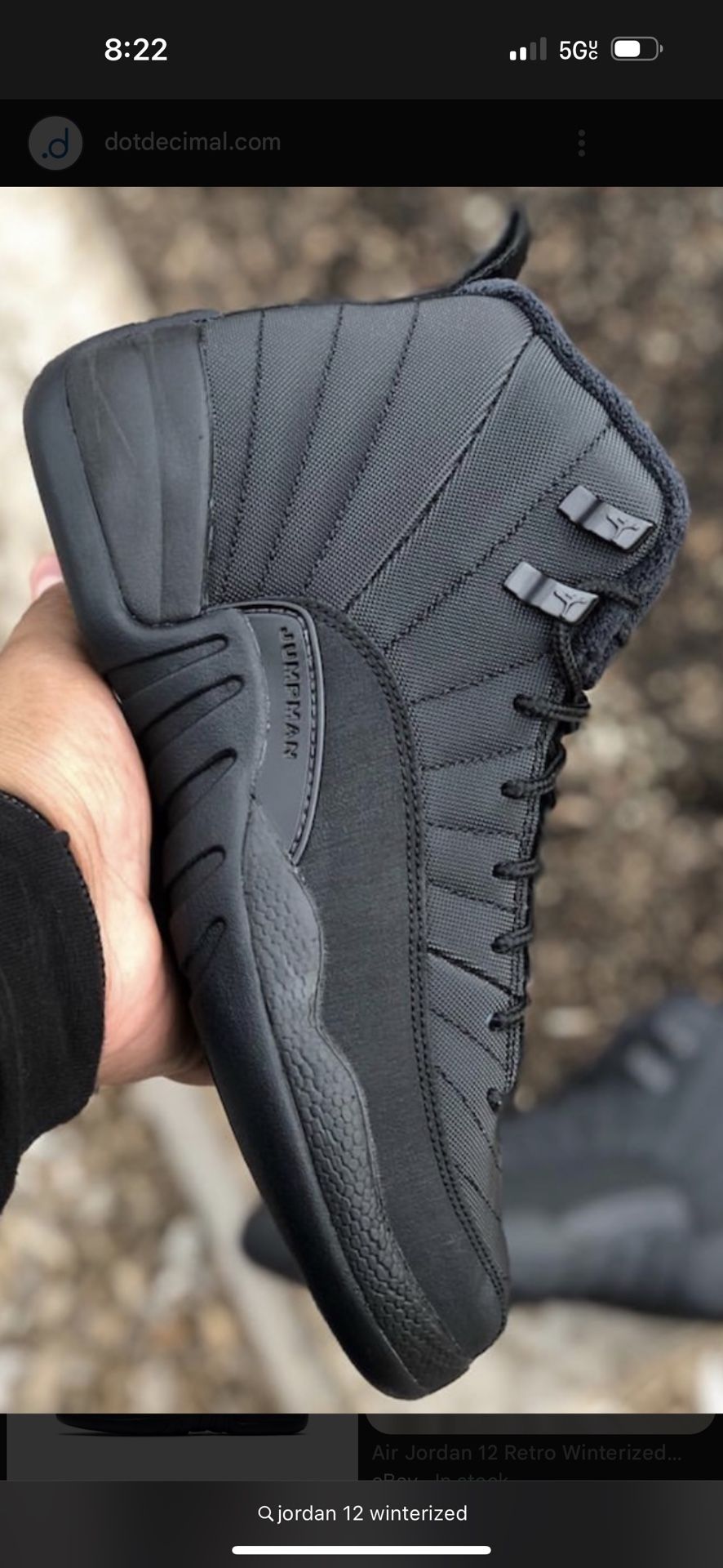 Size 11.5 Jordan 12 Winterized (Perfect Condition)