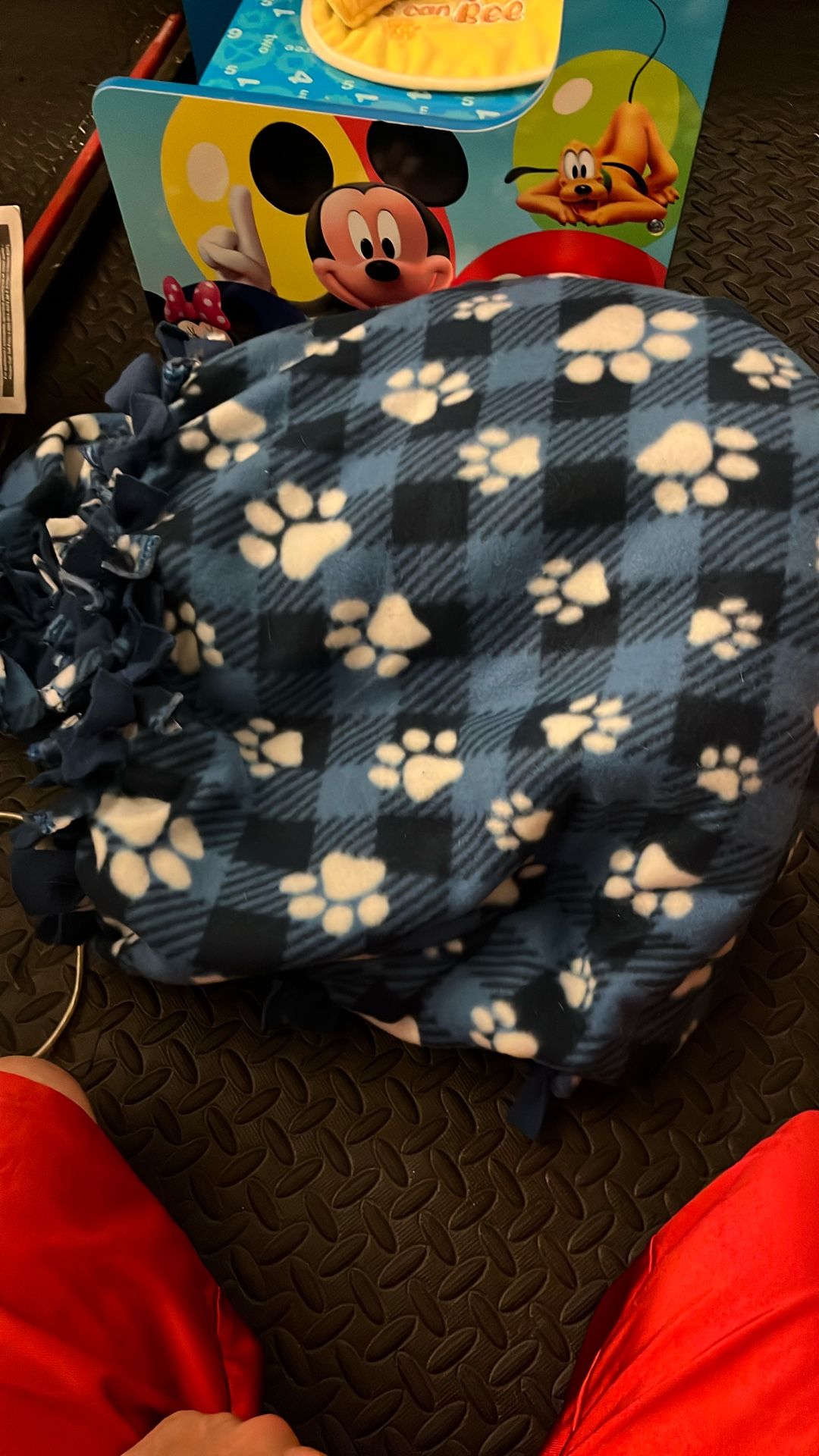 Paw Print Blanket