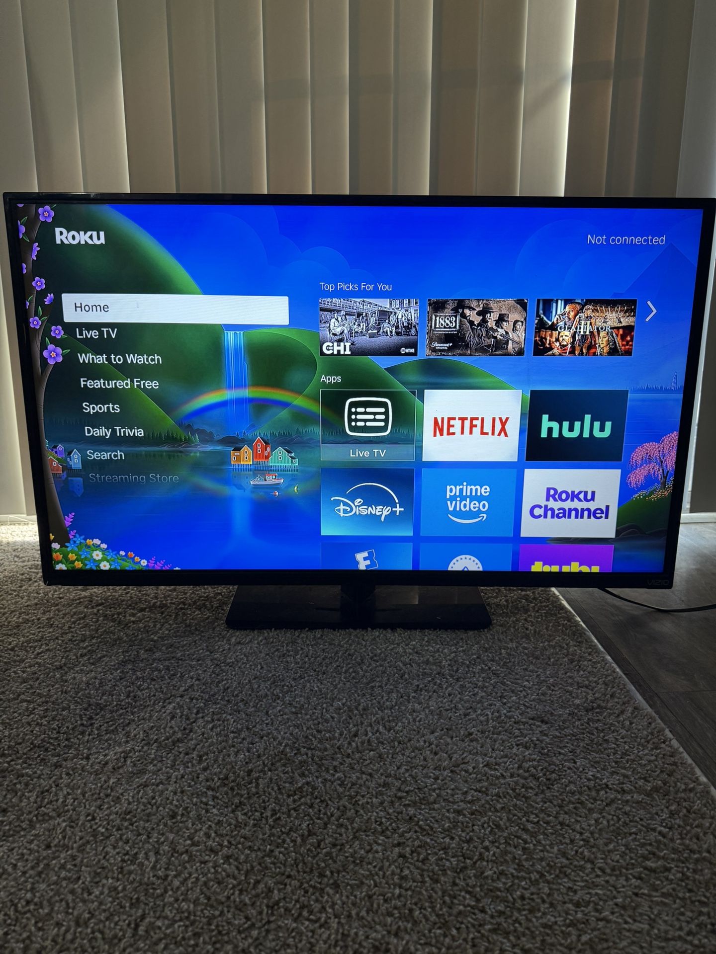 40 Inch Vizio Tv