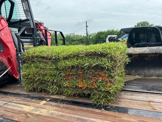 Half pallet of grass