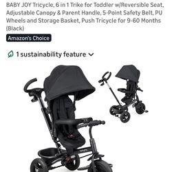 Baby Joy 6in1 Trike